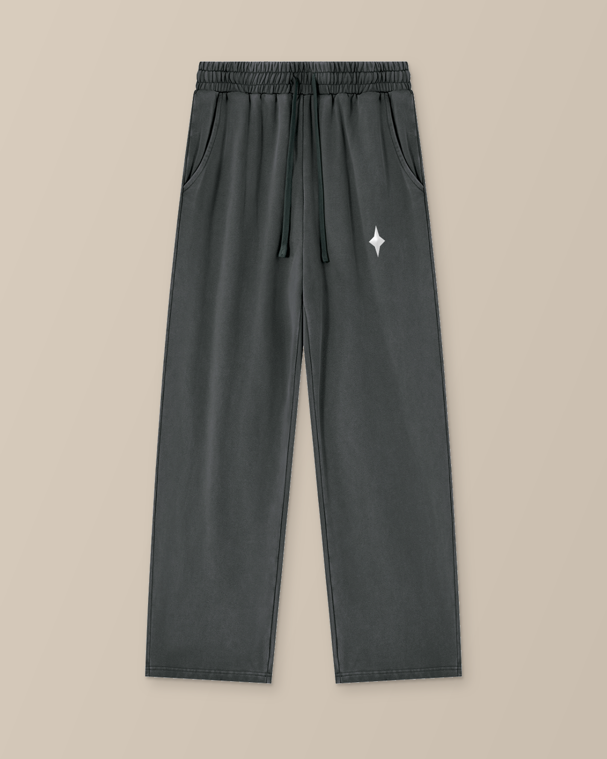 TLOL paired selves dark gray pants front product-only studio view